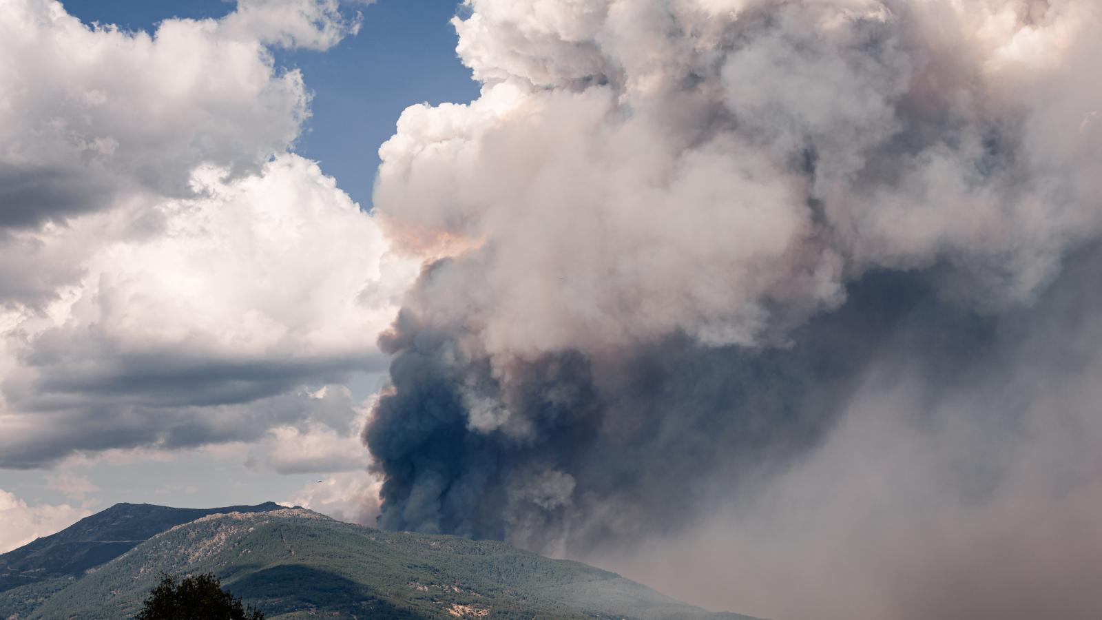 Incendio forestal