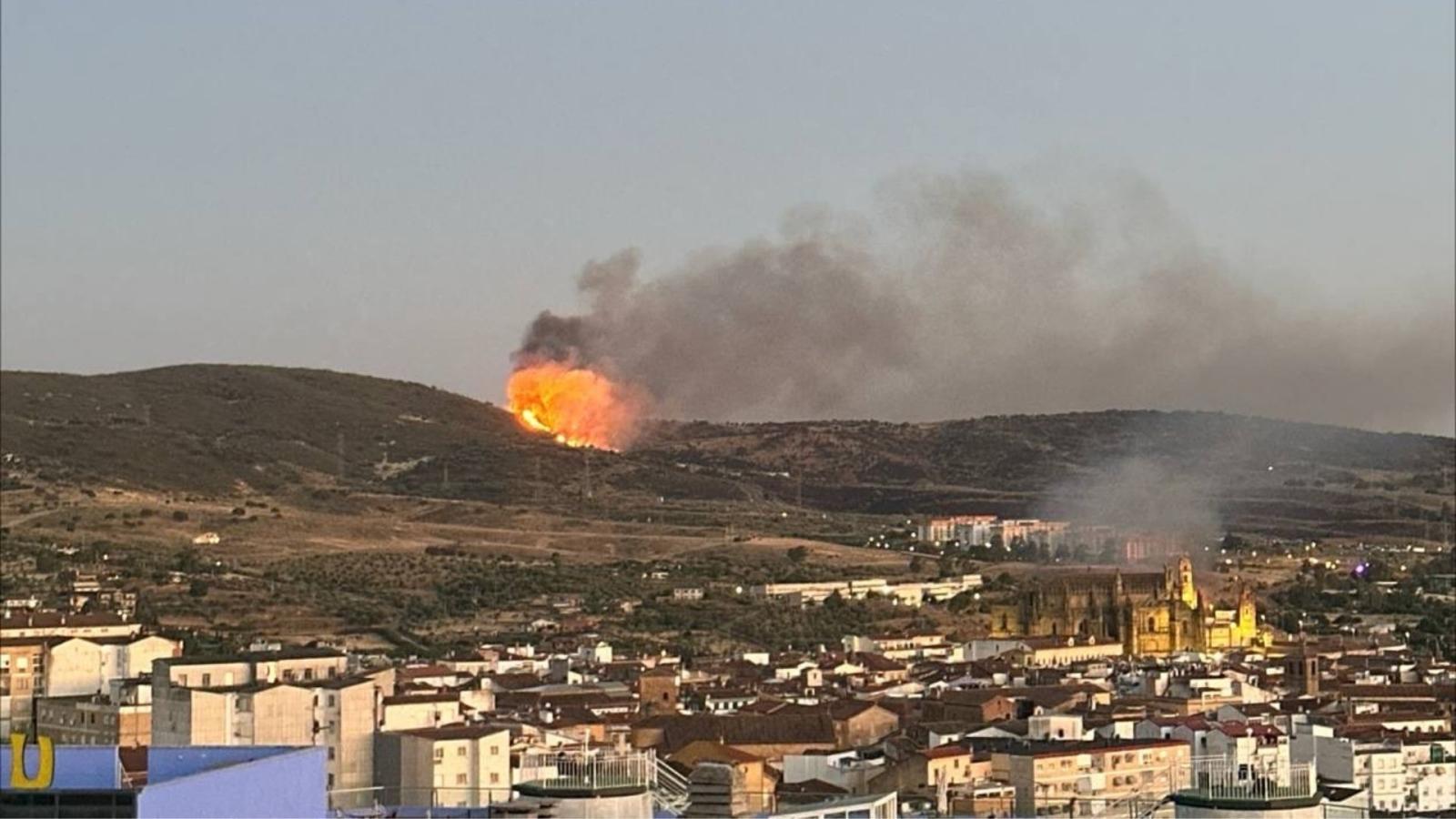 Incendio forestal declarado en Plasencia