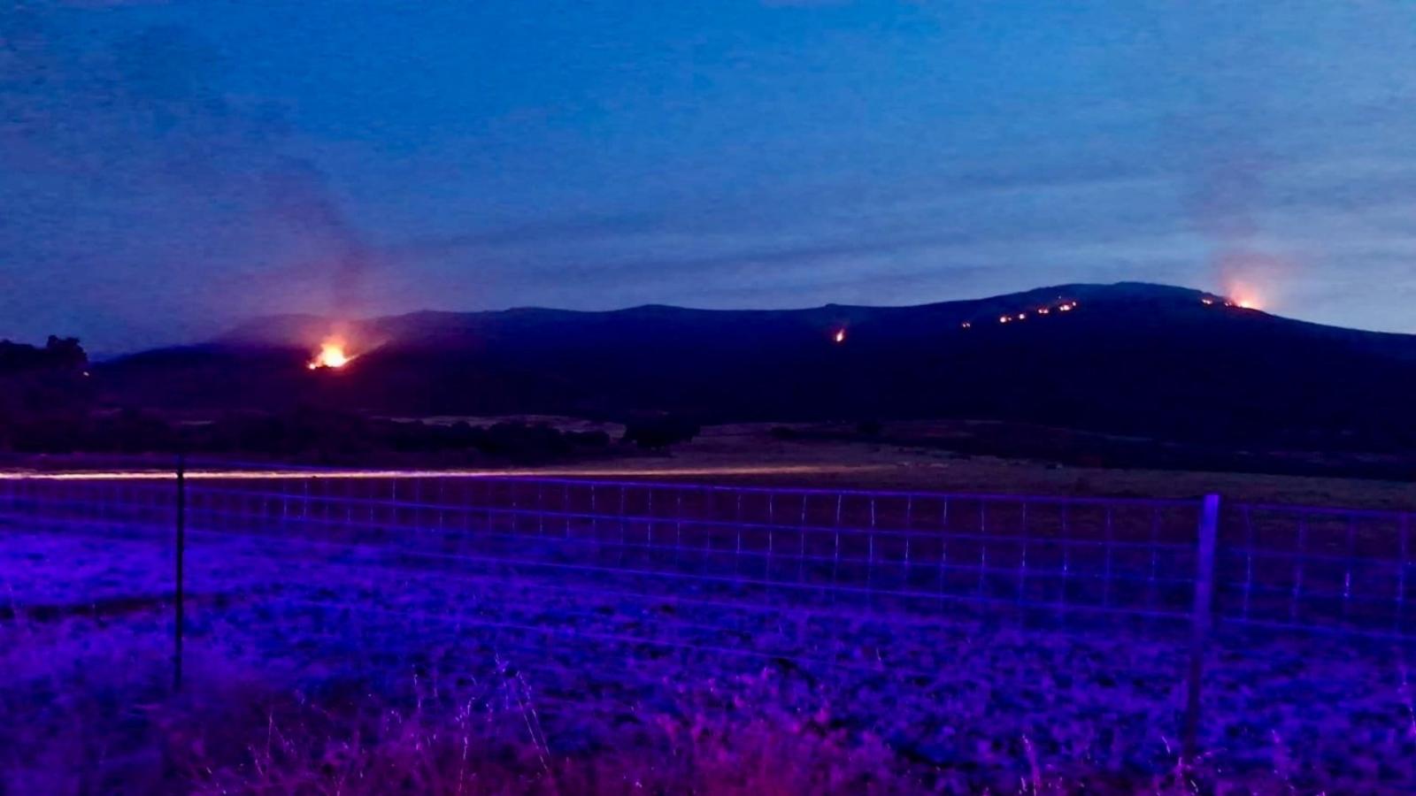 Incendio forestal en Casas de Millán