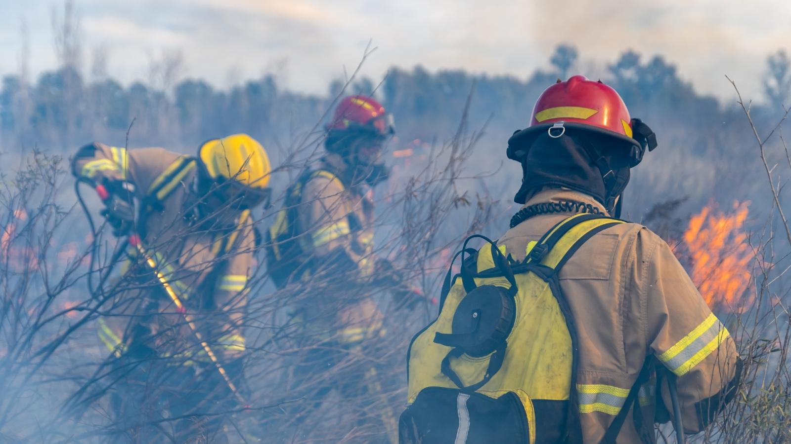 Incendio Forestal