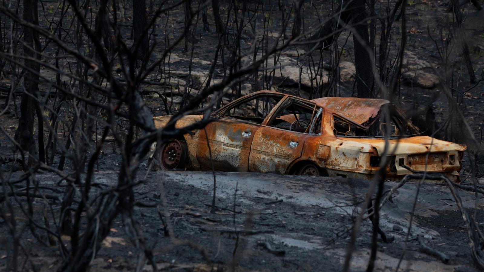 Cómo actuar ante un incendio forestal