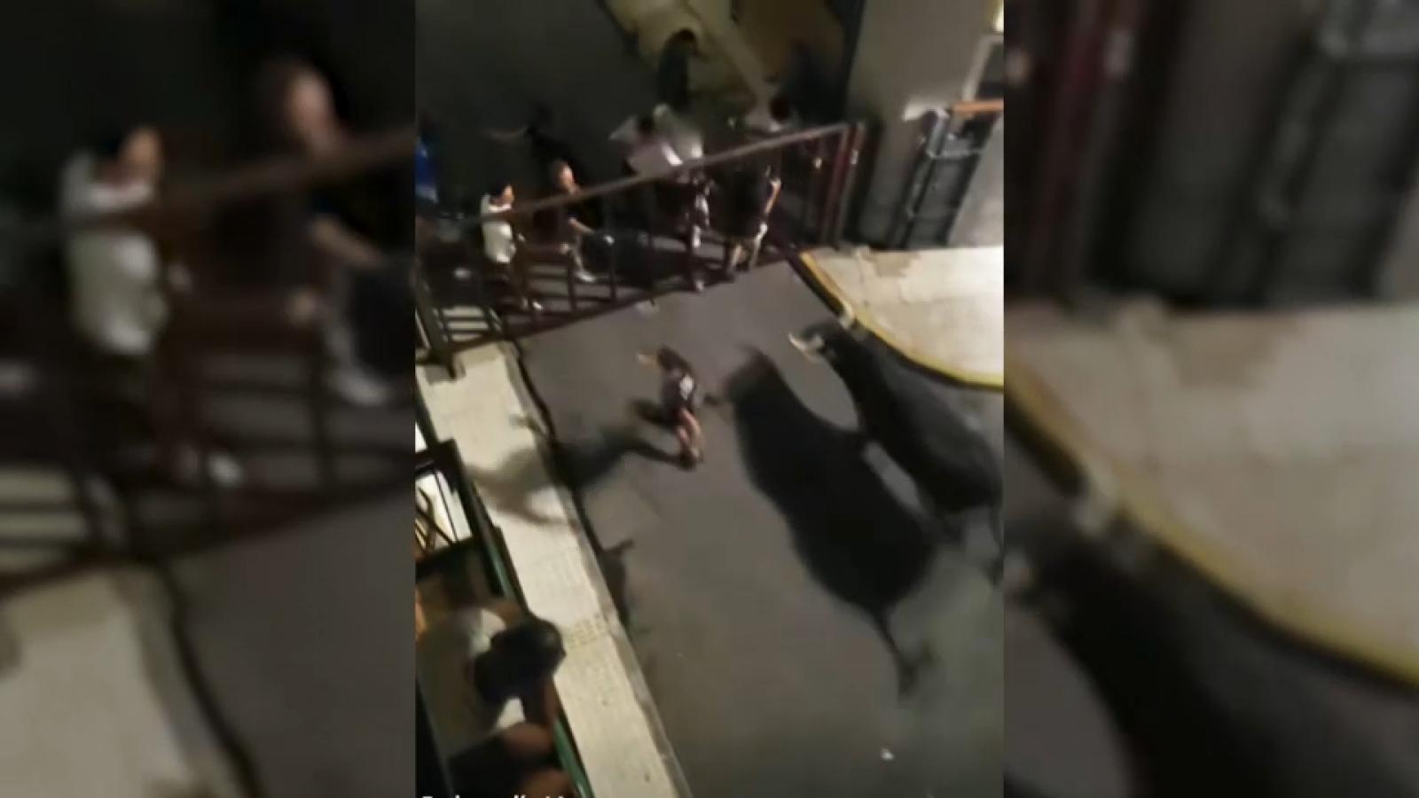 Un toro rompe una valla y provoca un susto en Moraleja