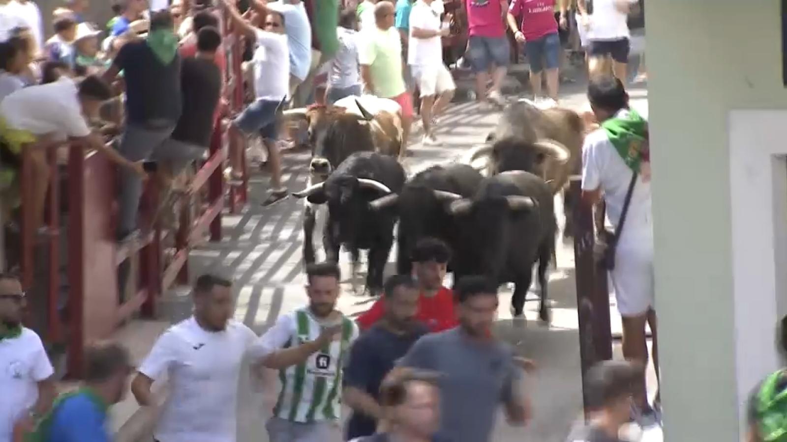 Fiestas de Sanbuenaventura en Moraleja