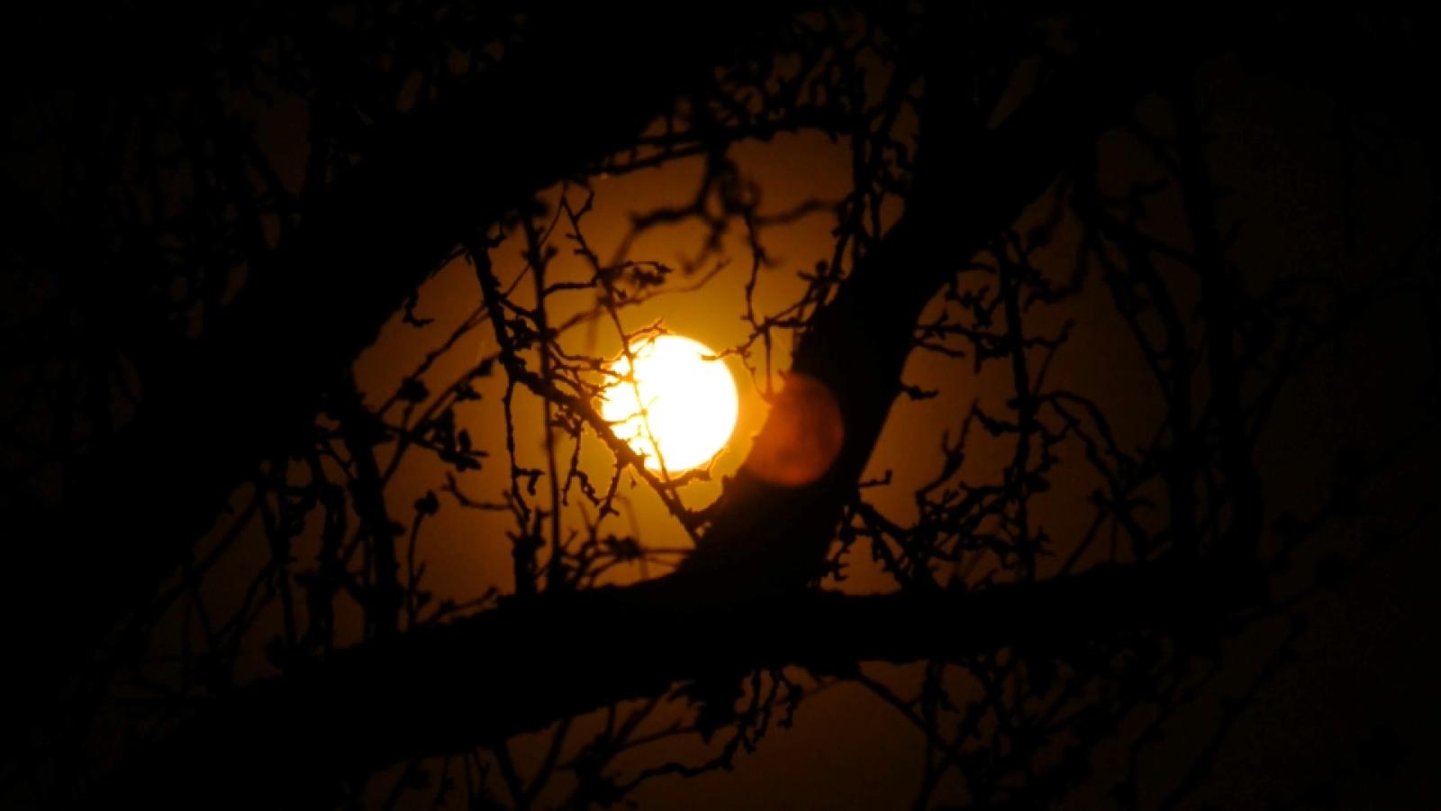 ECLIPSE