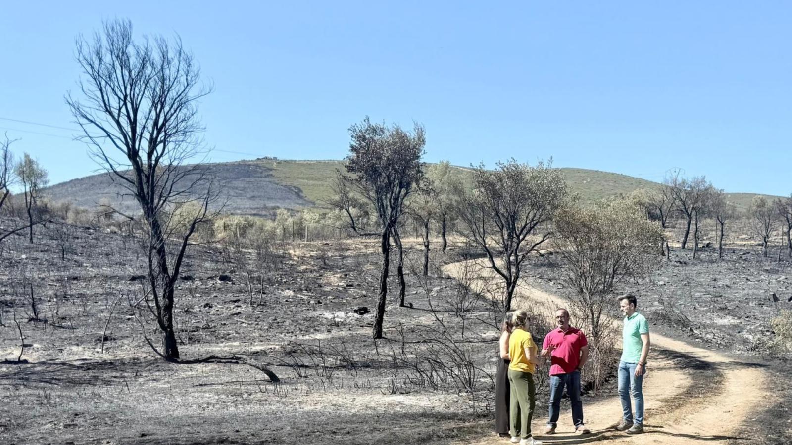 El presidente de la Diputación de Cáceres, Miguel Ángel Morales, visita las localidades de Casas de Millán y Mirabel tras el incendio forestal
