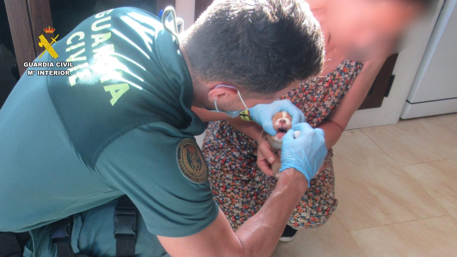 La Guardia Civil ha investigado a un hombre como presunto autor de un delito de abandono de animales domésticos y otro de maltrato animal