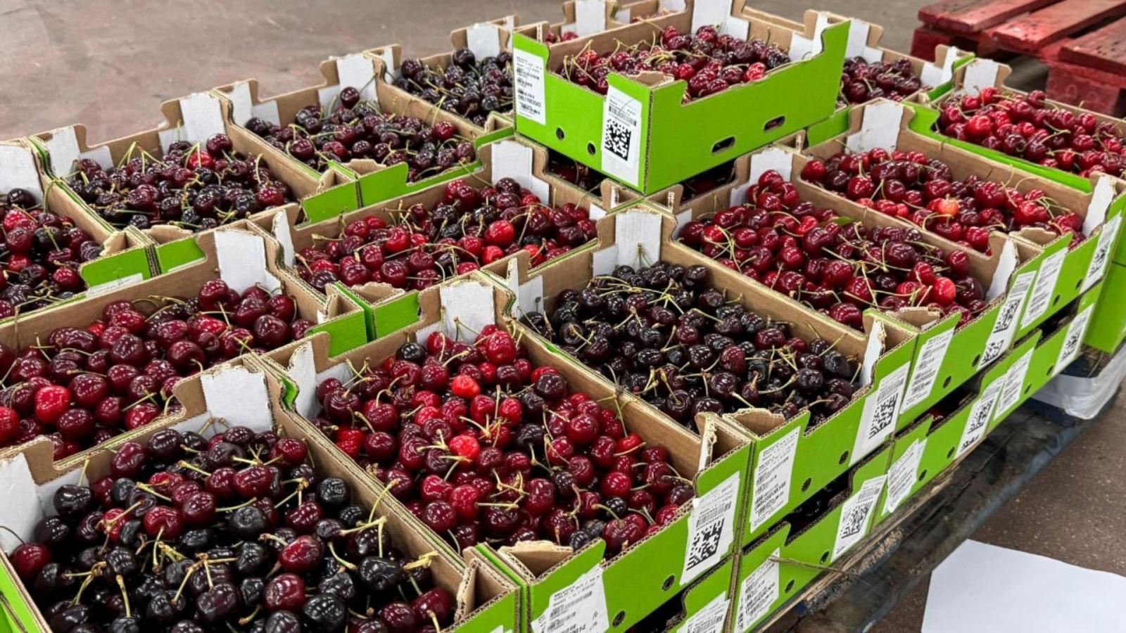 Cerezas