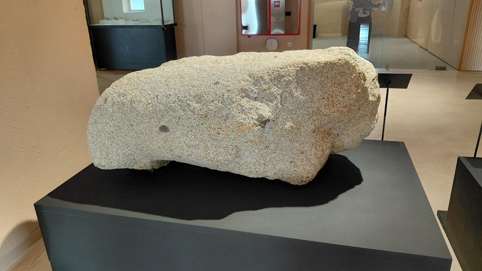  El Museo de Cáceres acoge desde este miércoles el verraco geminado 