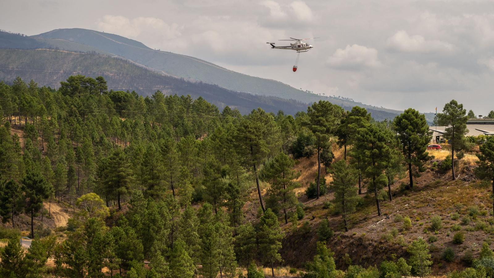 Incendio forestal en Las Hurdes