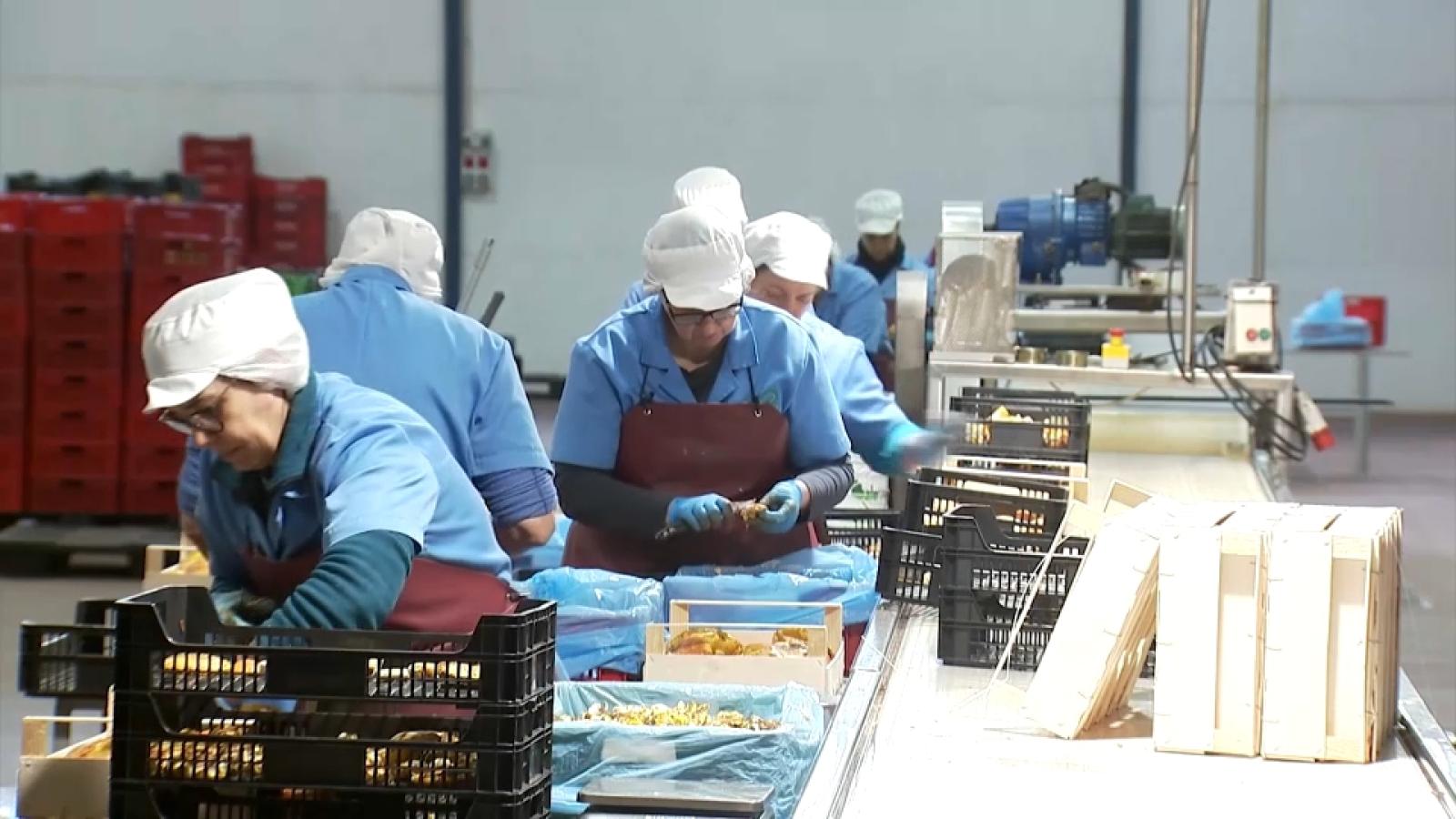 Extremadura registra la menor subida de los precios industriales del país, con un aumento del 3,2% 