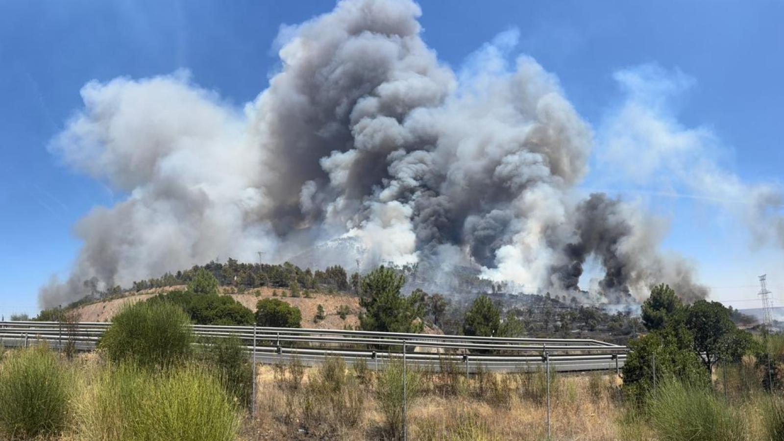 Grimaldo es evacuado de forma preventiva por el incendio en Cañaveral