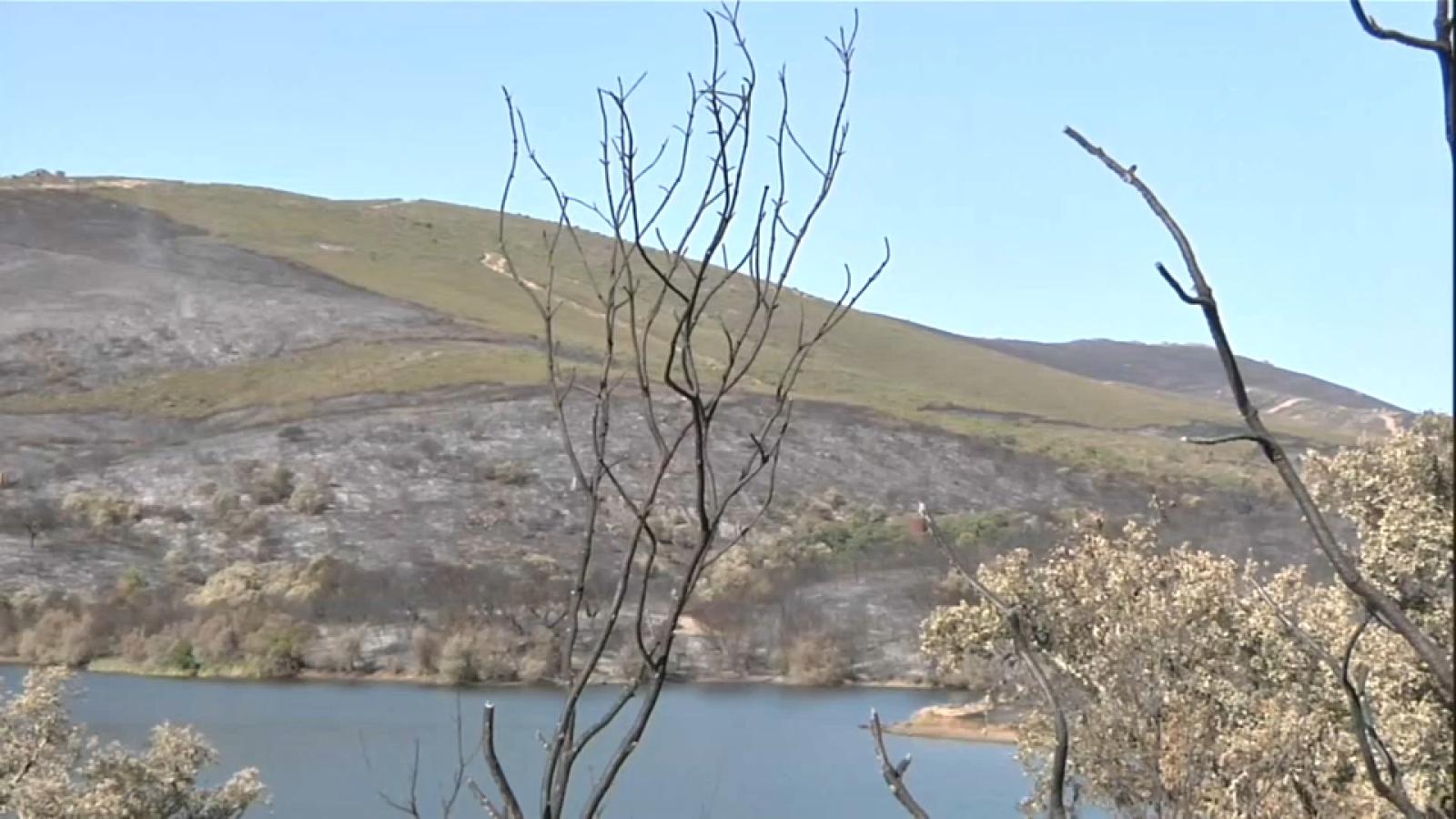 Incendio Casas de Millán