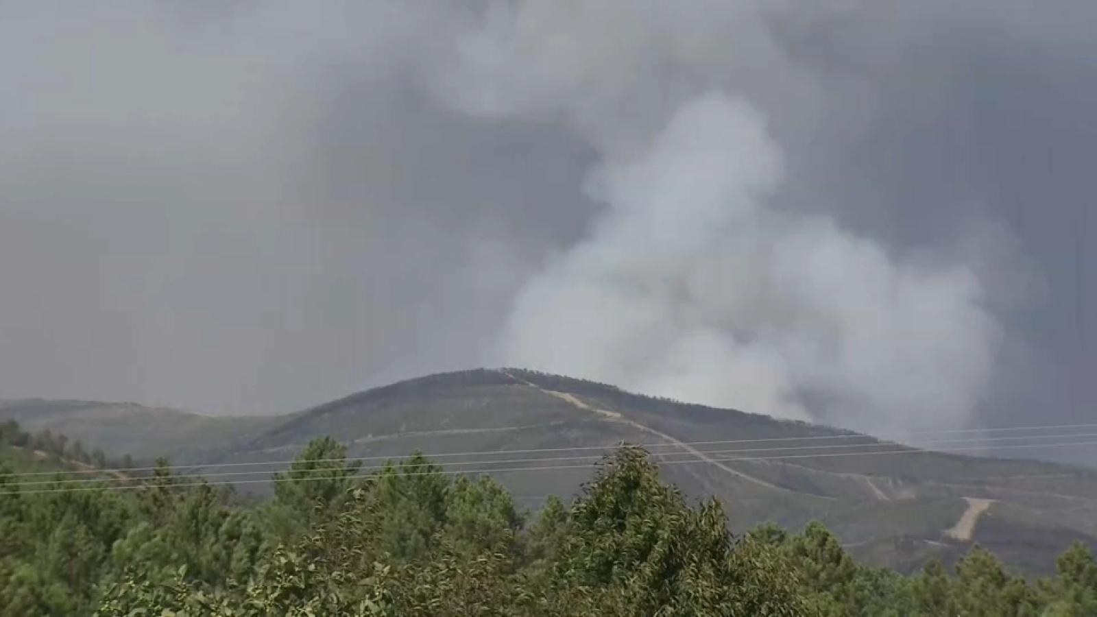 Incendio de Pinofranqueado