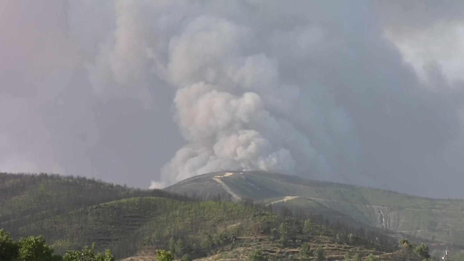 Incendio en Pinofranqueado