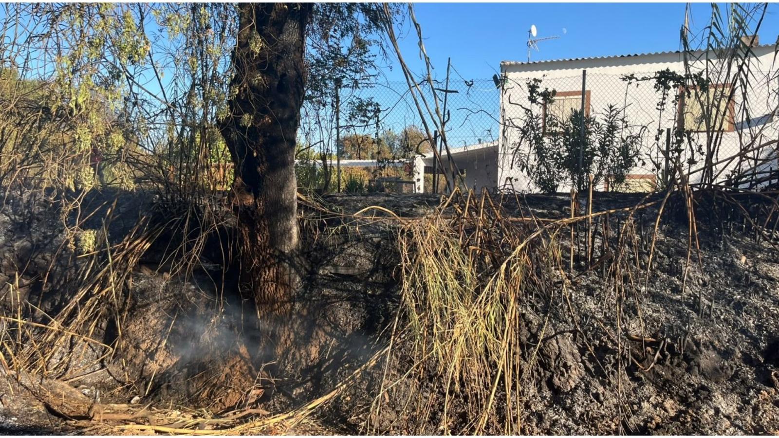 Incendio forestal a las afueras de Mérida