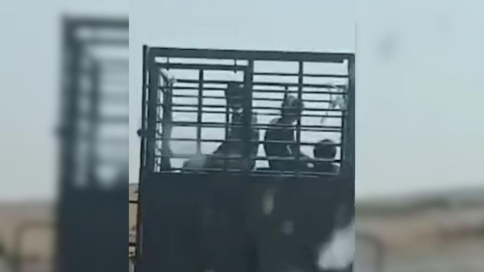 Una pick up circula con tres menores sin sistemas de protección