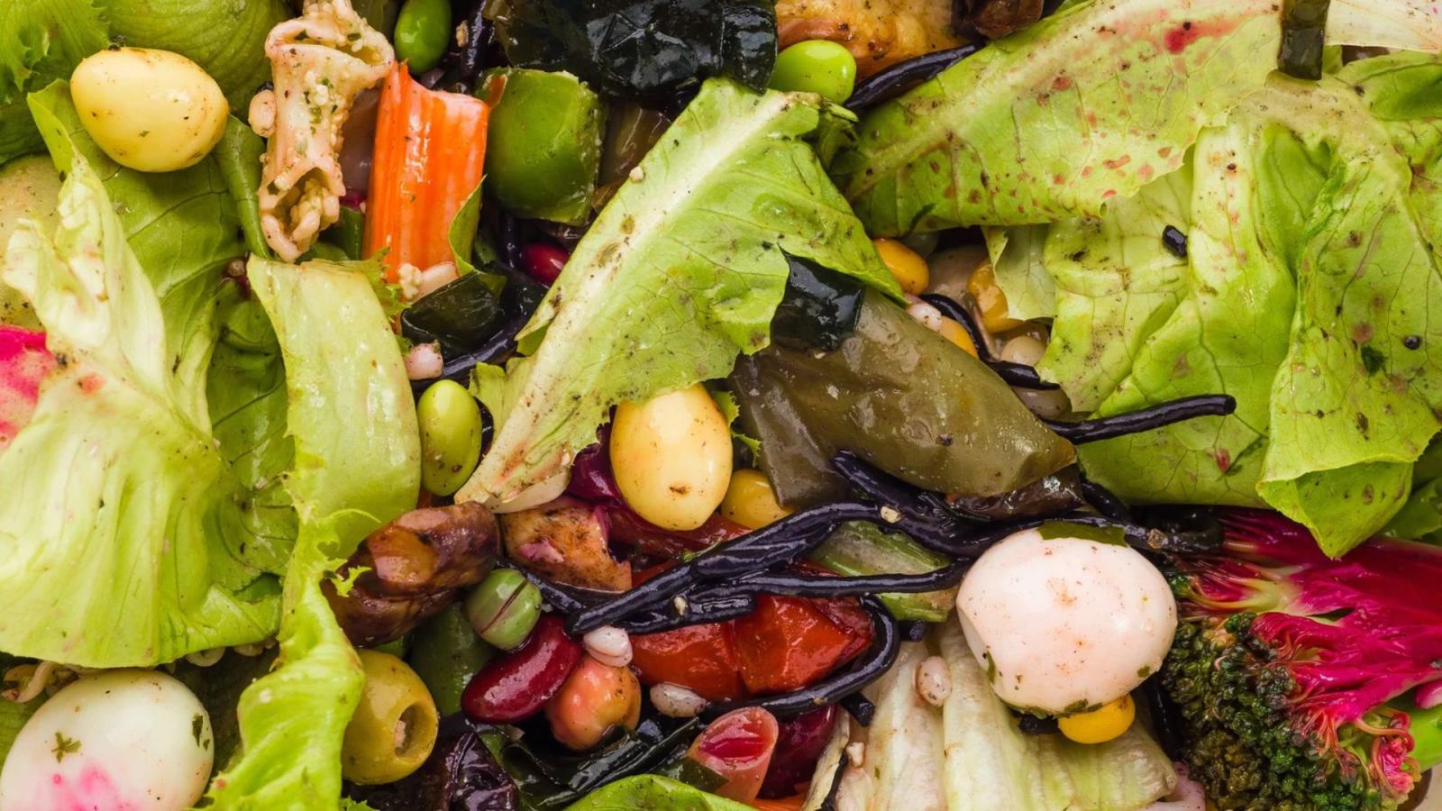Día Internacional de Concienciación sobre la Pérdida y el Desperdicio de Alimentos