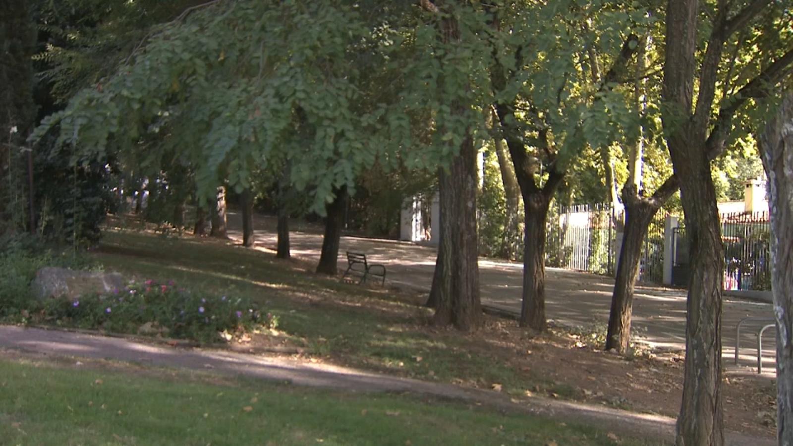 Aparece una pistola junto a la piscina del Parque del Príncipe