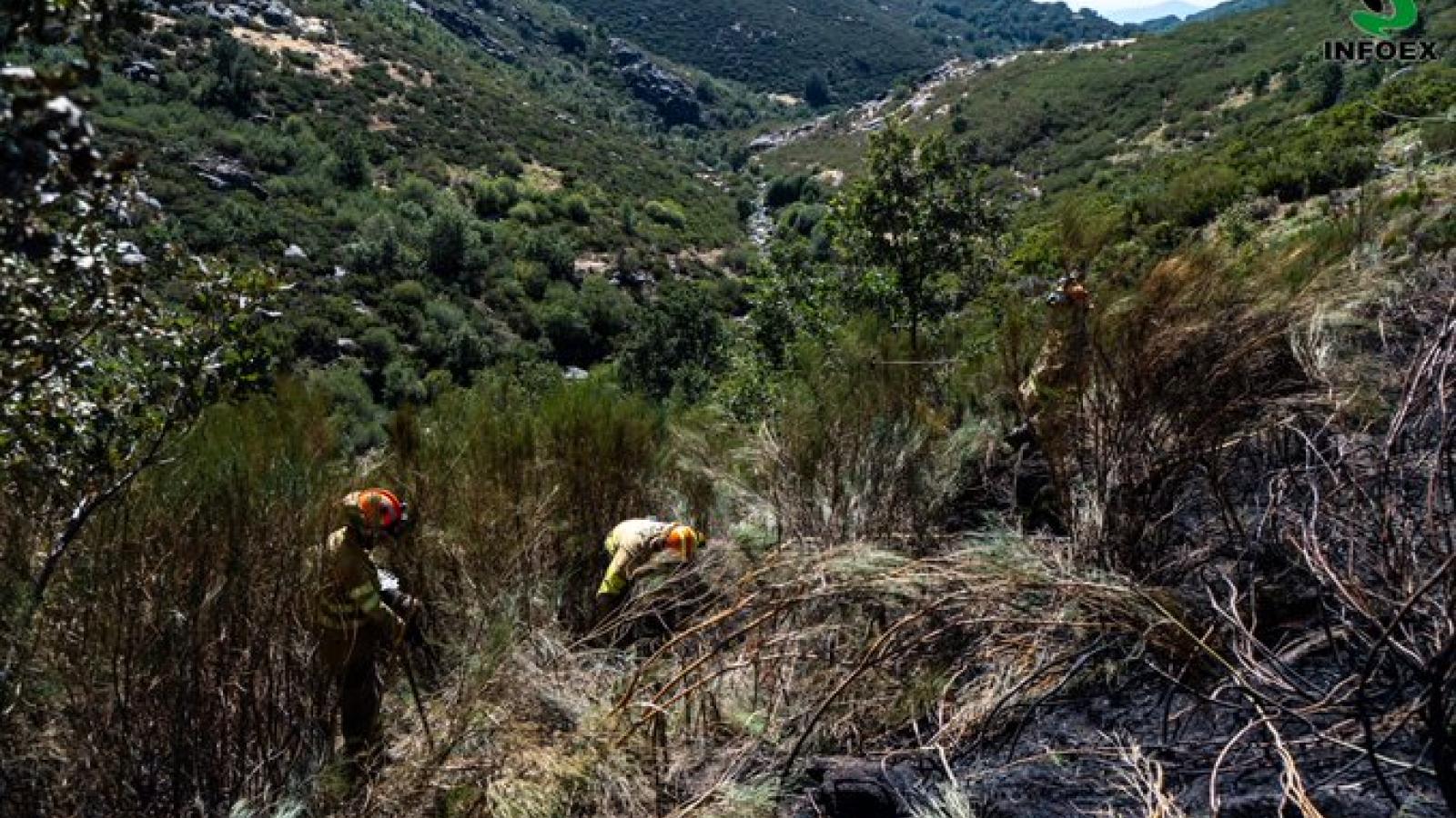 Bomberos del Infoex en el incendio de Tornavacas