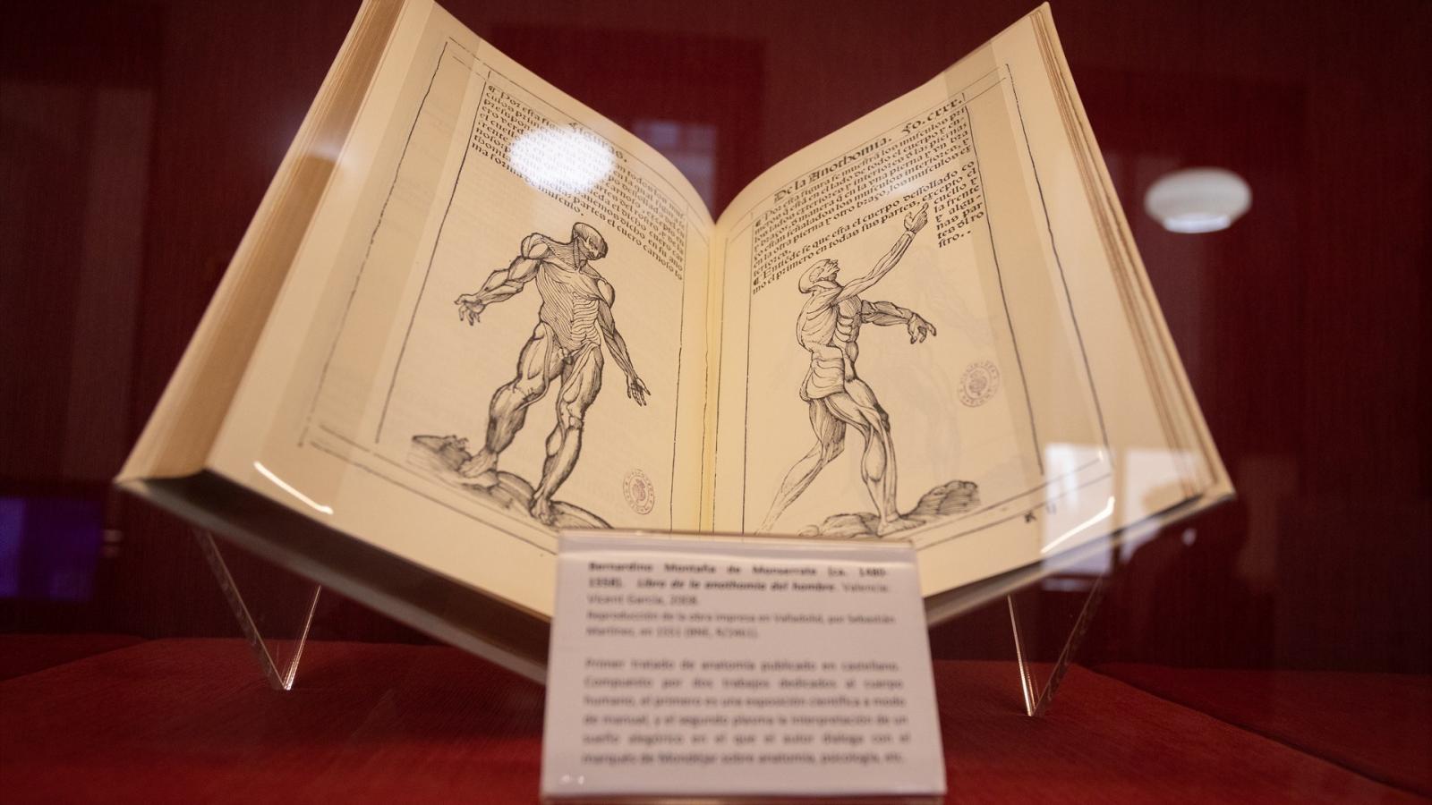 Nubeteca celebra el Día de las Bibliotecas con un encuentro entre Elena Álvarez y lectores de toda la provincia