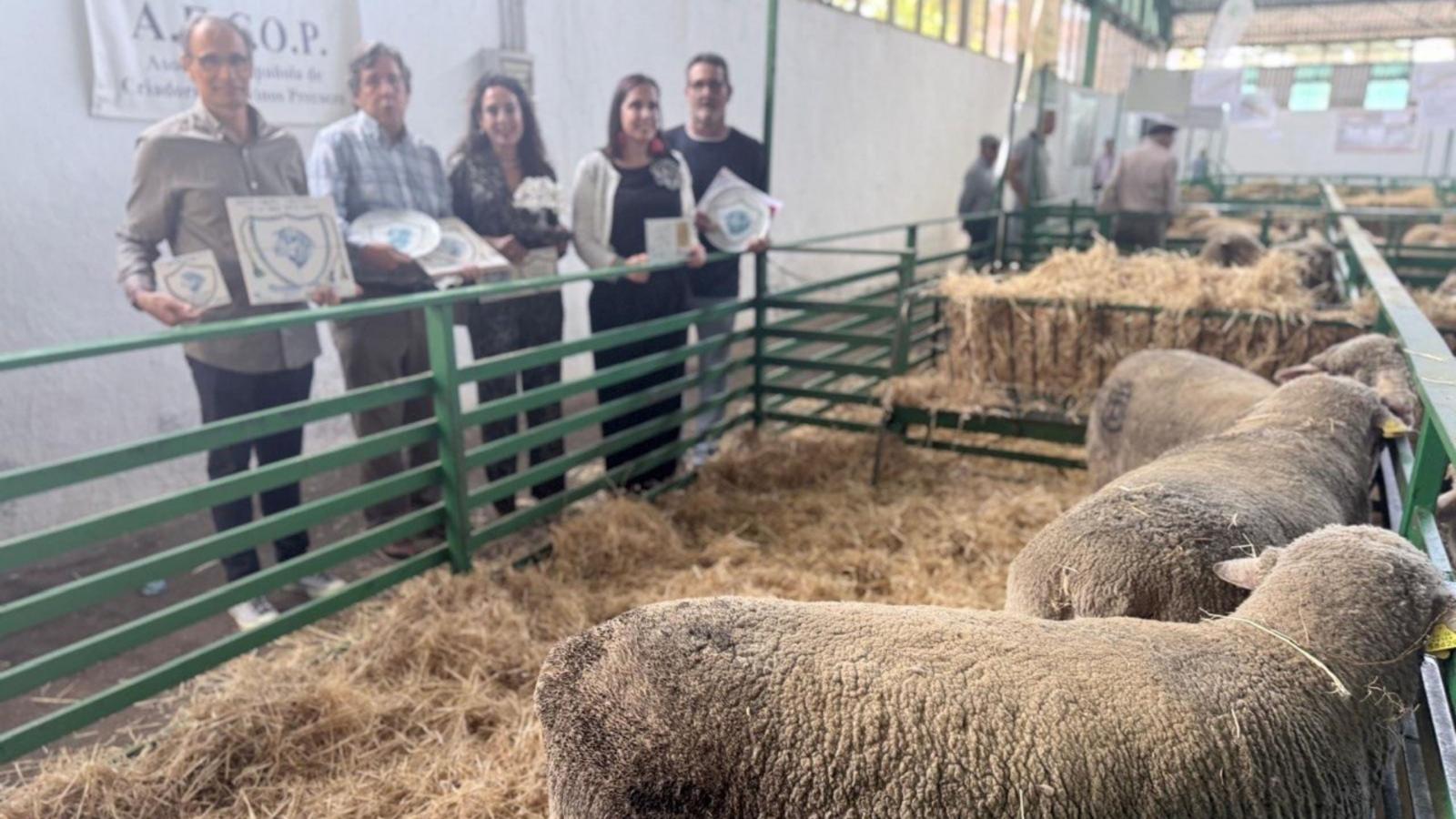 La Diputación de Cáceres, premio a la Mejor Ganadería en la FIG de Zafra.