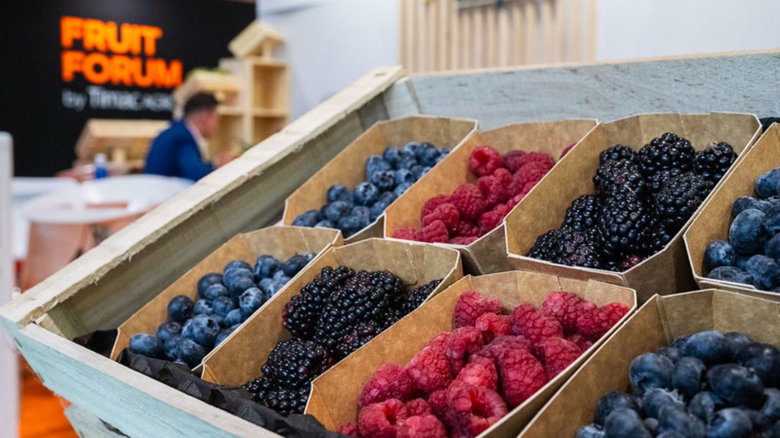 Fruit Attraction 2025.