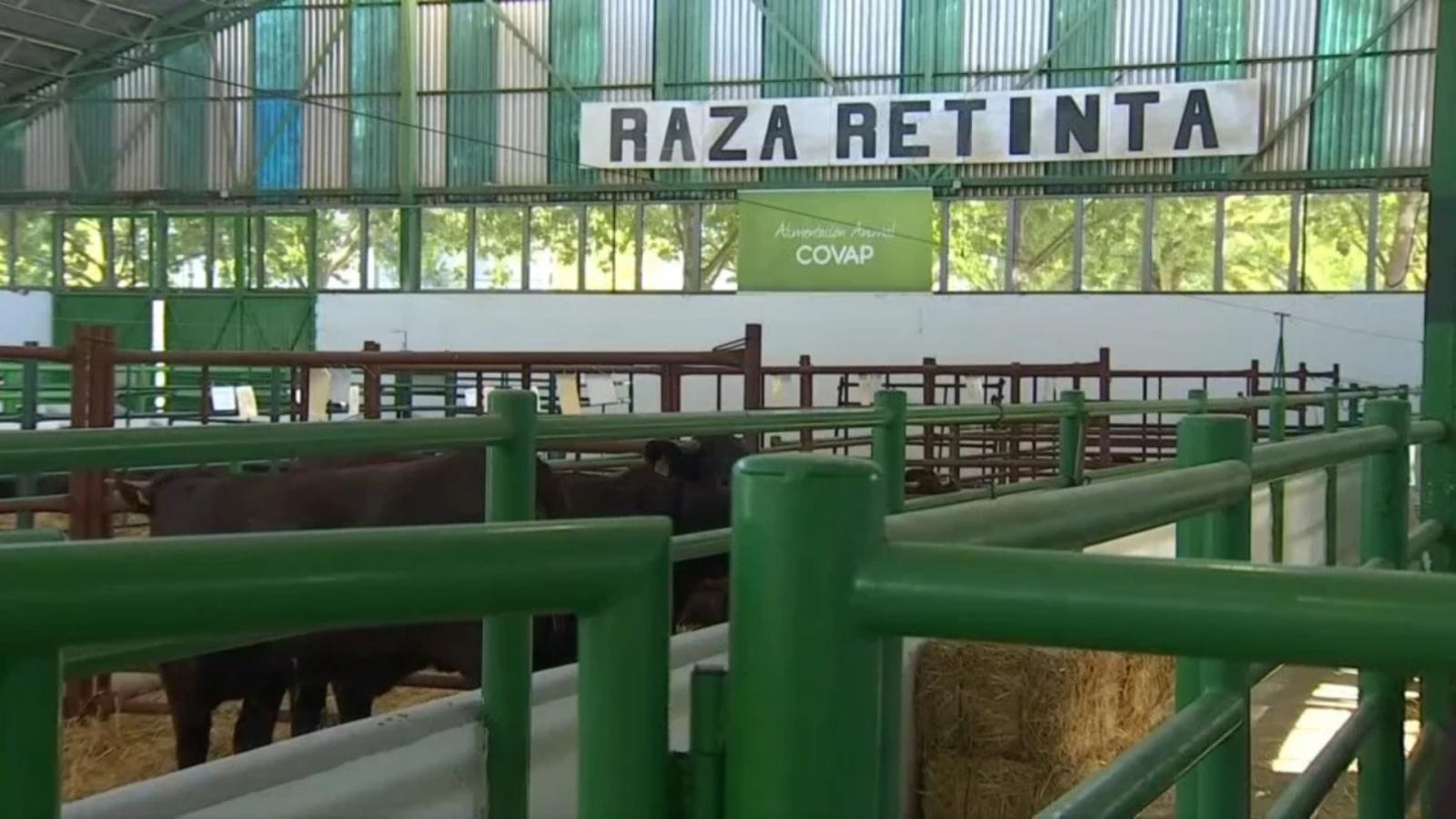 Feria Internacional Ganadera Zafra