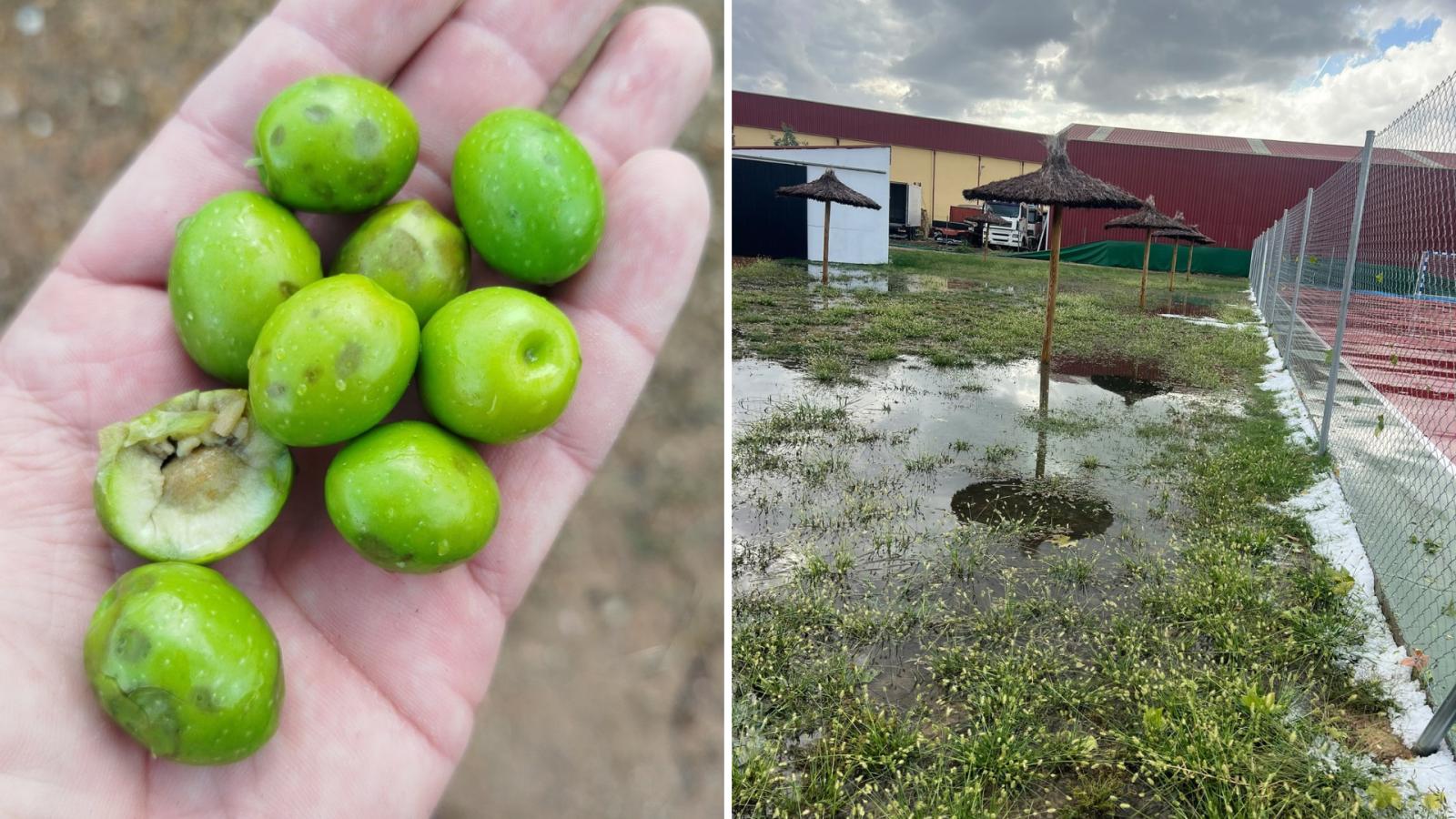 Daños causados por la tormenta en Los Guadalperales