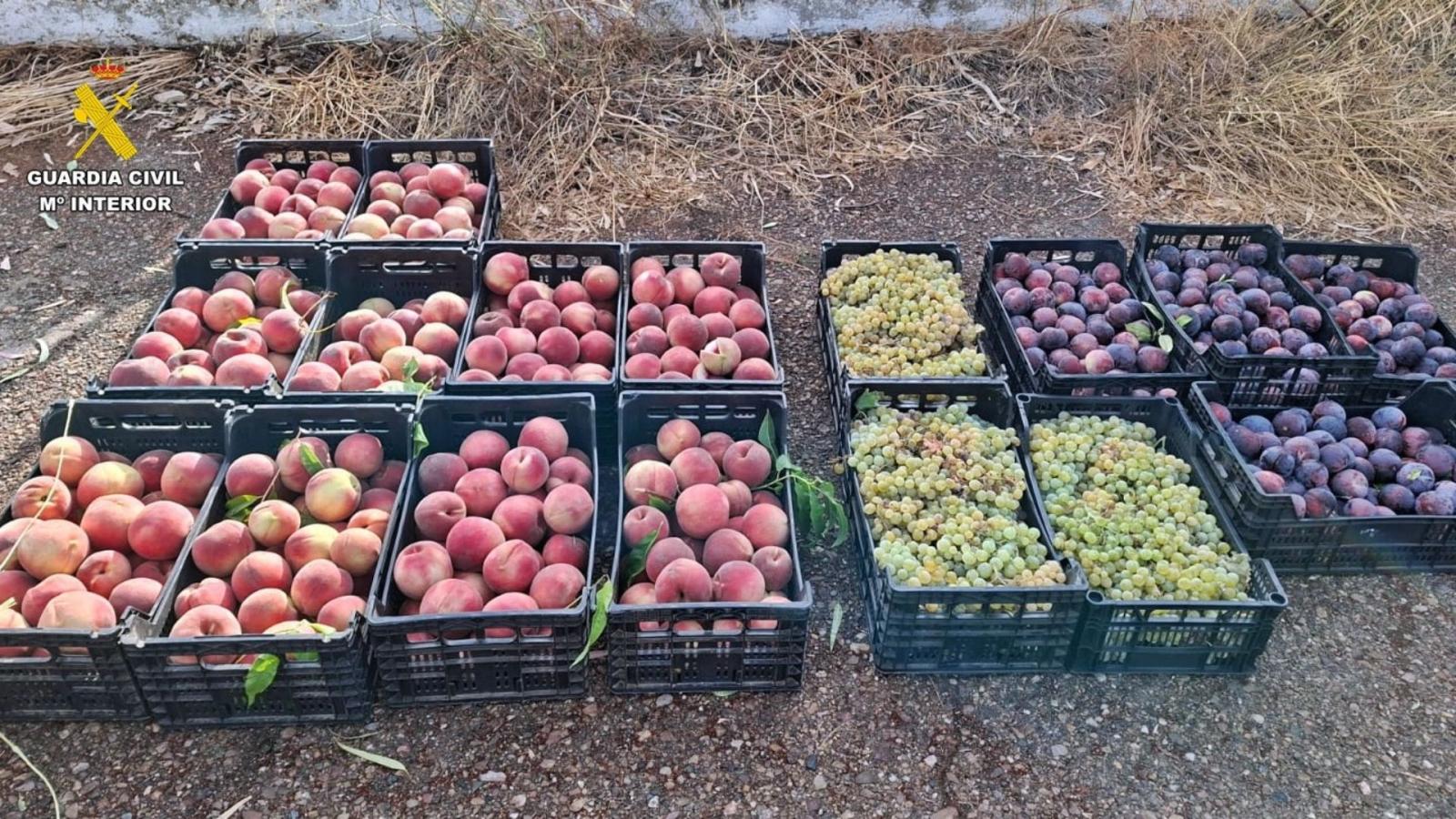 Parte de la fruta incautada por la Guardia Civil
