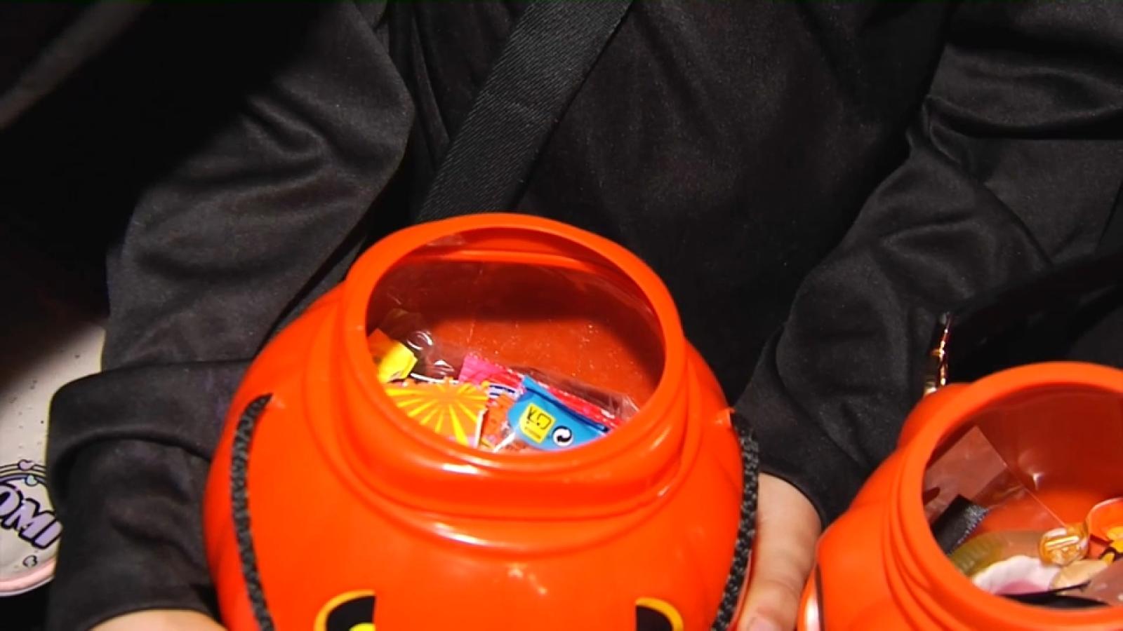 Calabazas con chuches y caramelos