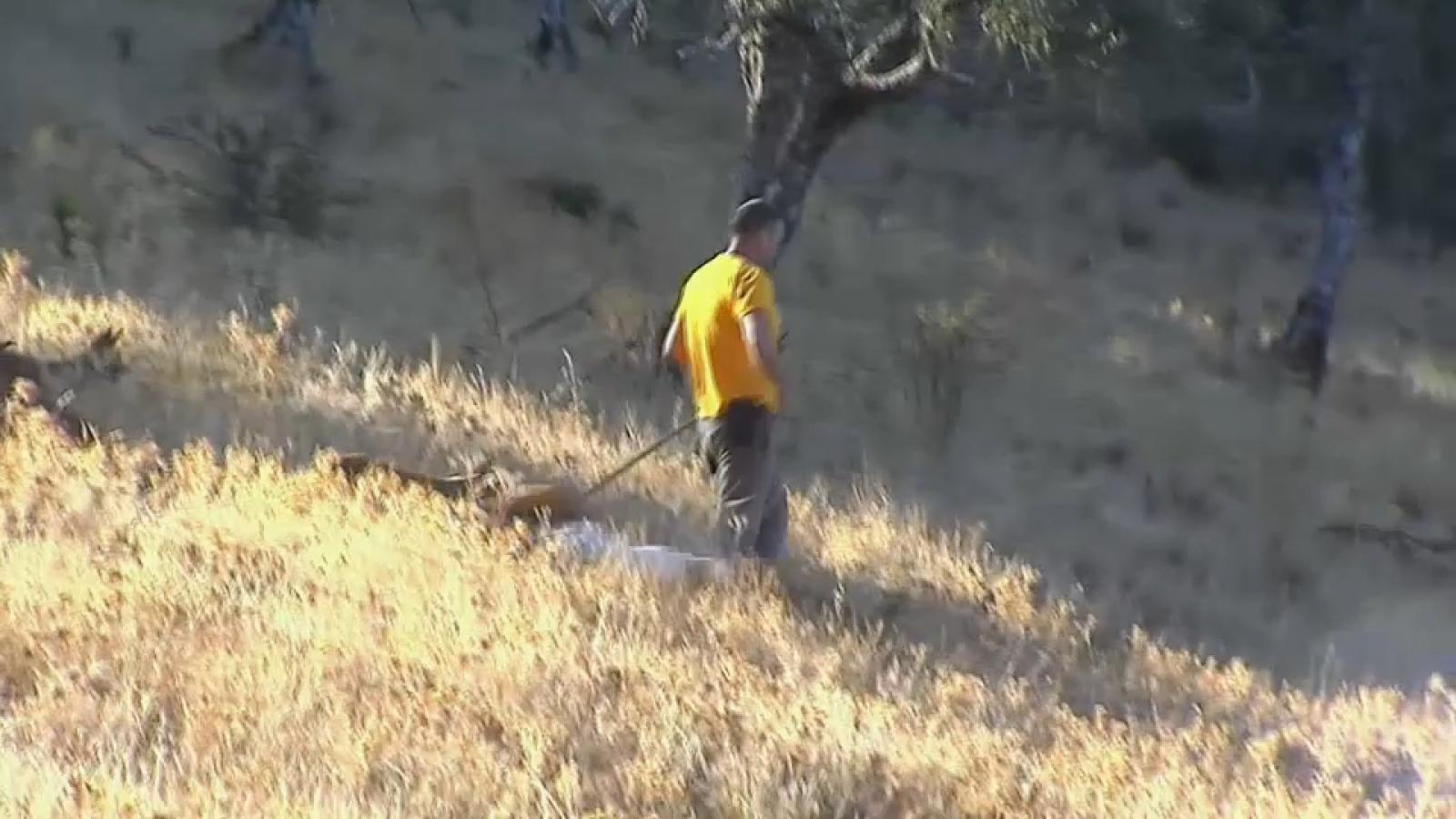 Comienza la temporada de caza en Extremadura.