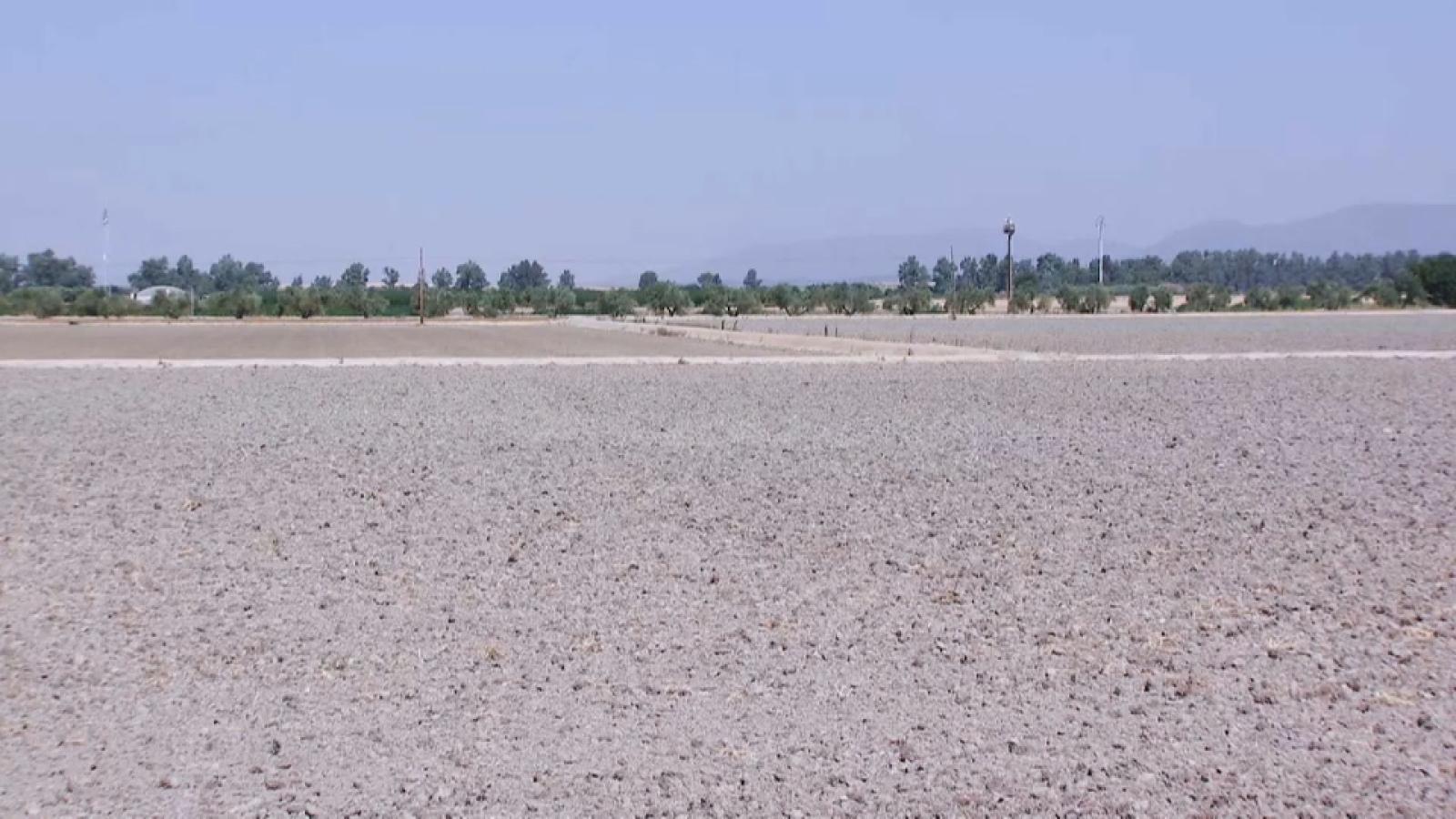 Imagen de un campo seco por la sequía