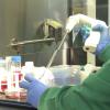 Ayudas a la investigación en Extremadura