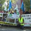 Manifestación por la protección de los lobos