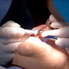 Dentista