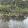 Cinco embalses de la cuenca del Tajo en Cáceres continúan aliviando con caudales significativos