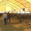 Brozas presume de campo con la quinta edición de su Feria Agroganadera