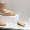 Nuevas adquisiciones llegadas de Italia conectan Cáceres con el mundo romano