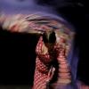 El Flamenco extremeño conquista once ciudades de México