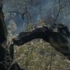 Detenida una mujer por provocar un incendio forestal intencionado en Villamesías y varios conatos en la zona