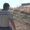forestal