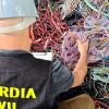 Cableado recuperado