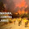 Bomberos del INFOEX luchan contra el incendio forestal de Jarilla (Cáceres)