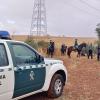 Actuaciones contra el robo de aceitunas