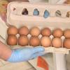 Docena de huevos en un supermercado