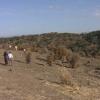 Zona afectada por el incendio de Jarilla de 2025
