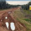 Camino rural de titularidad municipal