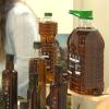Botellas de aceite de oliva de la Feria del Olivar y del Aceite Ecológico de Almendral en una imagen de archivo