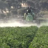 cosechadora trabajando en el campo extremeño