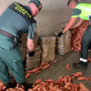 Intervención de droga de la Guardia Civil
